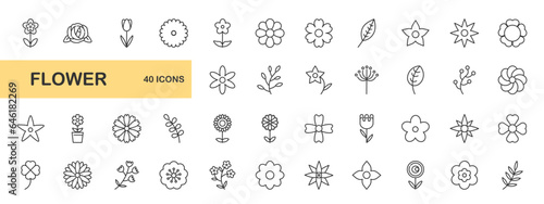 Set of flower and leaf icons, vector illustration #646182269