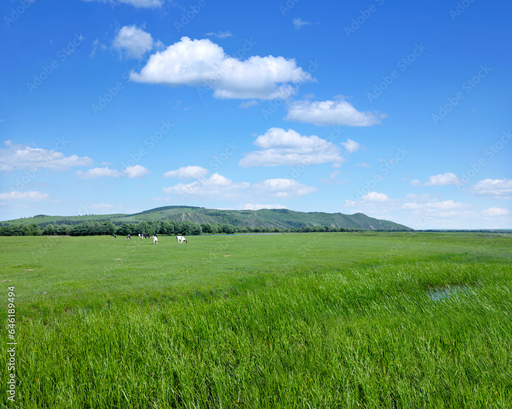 The hulunbuir ewenki flag yi min river plains The hulunbuir ewenki flag yi min river plains