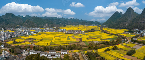 Guizhou xingyi hoodoo rape flowers