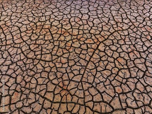 The parched fields photo