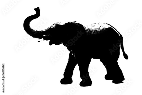 silhouette of elephant model stand isolated on white background