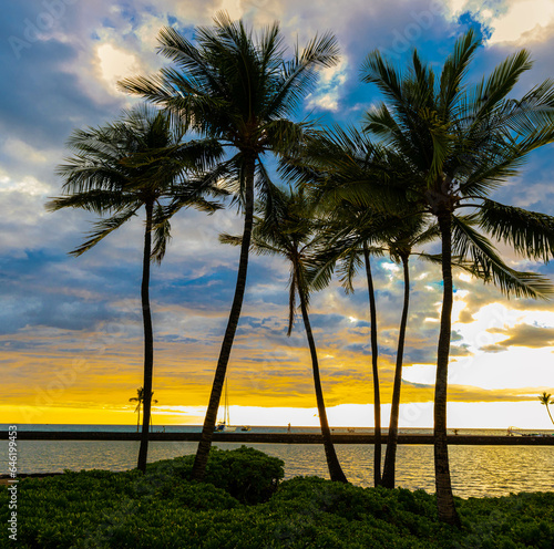 Coconut Palms at Sunset on Anchialine Pond and Anaeho'omalu Bay at The Waikoloa Beach, Waikoloa, Hawaii, USA