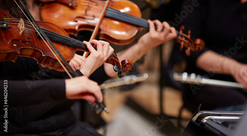 Wallpaper Mural Close up of musician hands playing violin Torontodigital.ca