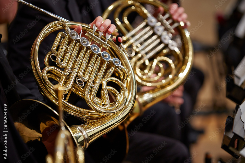 Fototapeta premium Close up of performer's hands playing horn