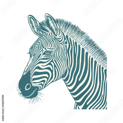 Zebra african animal icon isolated
