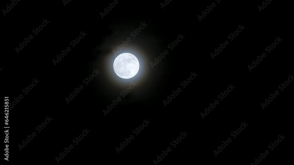 White grey glowing full blue supermoon moon in sky with shrub branches swaying in wind in foreground White grey glowing full blue supermoon moon in sky with shrub branches swaying in wind in foreground