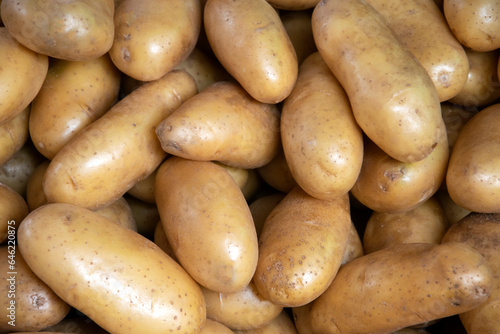 Fresh organic potato stand out among many large background potatos in the market.