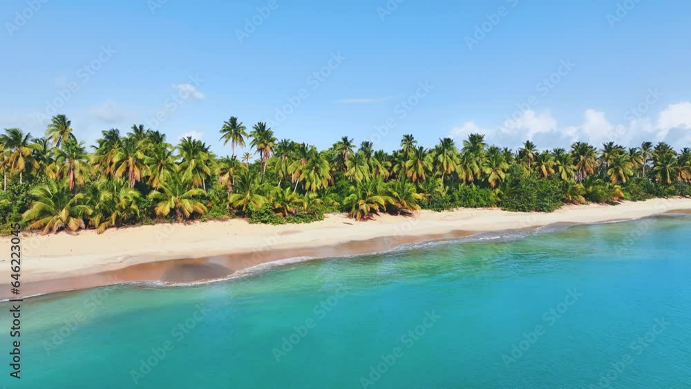 Idyllic holiday on a tropical wild beach with palm trees. Turquoise Caribbean Sea. Travel along the sea coast. Summer trip outdoors. Island resort and shore of the blue lagoon. Idyllic holiday on a tropical wild beach with palm trees. Turquoise Caribbean Sea. Travel along the sea coast. Summer trip outdoors. Island resort and shore of the blue lagoon.