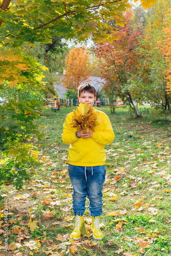The child is holding a bouquet of maple leaves in his hands. A happy child  a little boy playing in a beautiful autumn park on a warm autumn day.