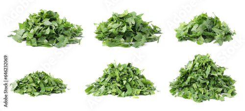 Set with heaps of cut parsley isolated on white