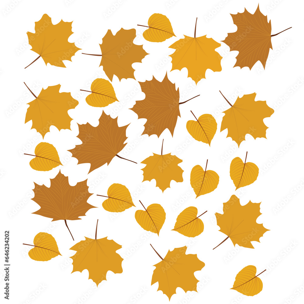 Fototapeta premium Fall leaves isolated on white background collection. Orange maple leaves pattern. Vector illustration.
