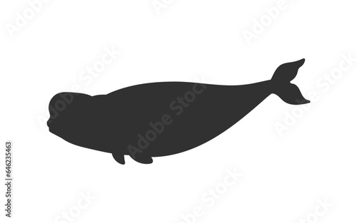 Vector black silhouette illustration of white whale, isolated on white background