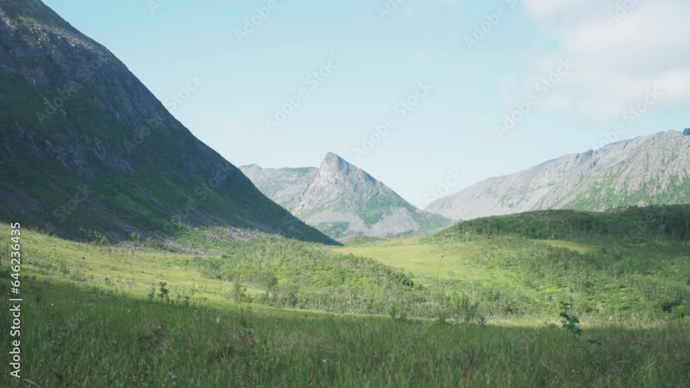 Verdant Nature Of Spring Mountains During Sunny Day In Lonketind, Norway. Static Shot Verdant Nature Of Spring Mountains During Sunny Day In Lonketind, Norway. Static Shot