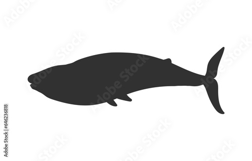 Blue whale silhouette  flat vector illustration isolated on white background.
