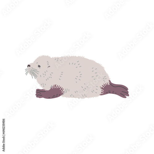 Crabeater seal semi aquatic Antarctic mammal animal, flat vector isolated. photo