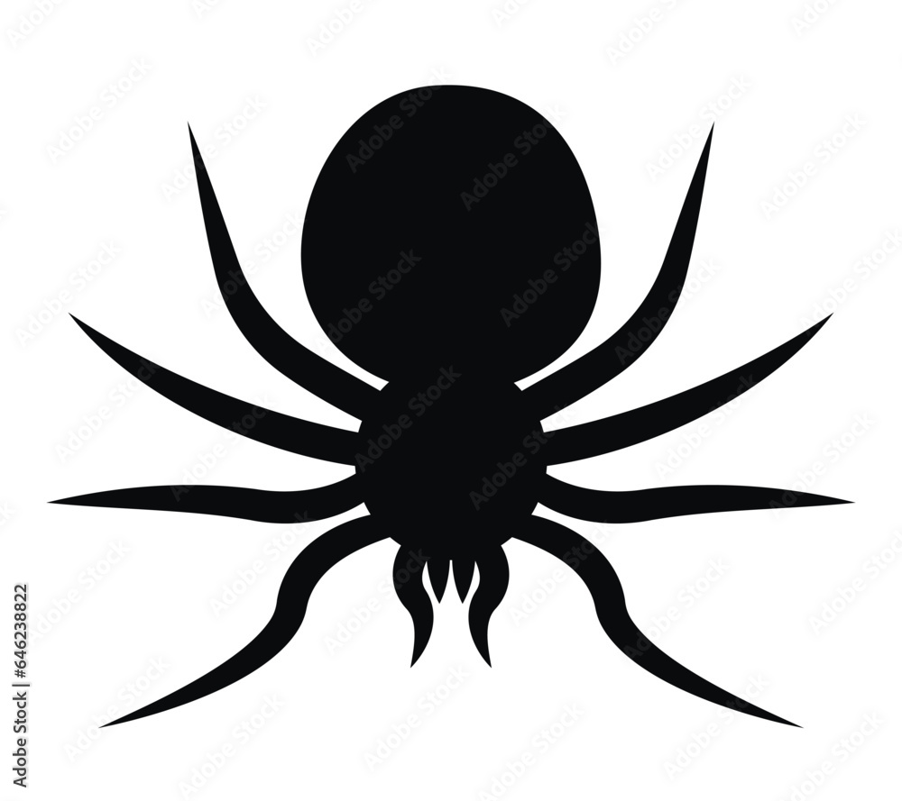 Spider top view. Insect in black flat style. Spider top view. Insect in black flat style.