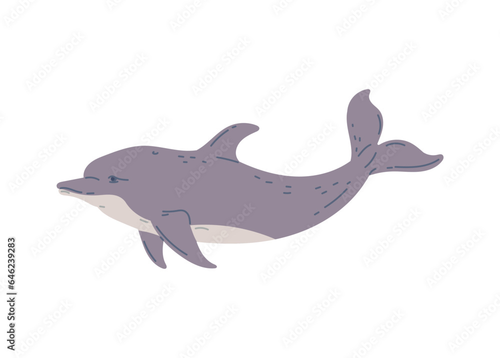 Cute dolphin swimming, flat vector illustration isolated on white background. Cute dolphin swimming, flat vector illustration isolated on white background.