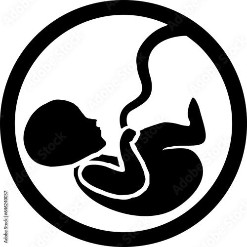 fetus