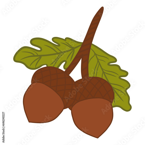 Quadro su tela Twin Acorns With Green Leaves