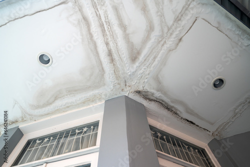 Ceiling panels with fungus outside house from water pipes damaged or rainy leaked. Office building or house problem for house service.