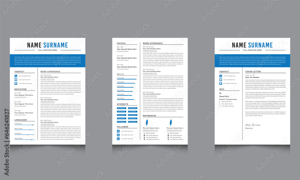 Professional Curriculum Vitae Layout and Resume Template