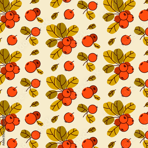 Vector pattern of cowberry, lingonberry and cranberry. Isolated illustration of a raw berry on a branch, a handful of berries on a white background. Autumn berry illustration.