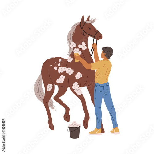 Man washing and grooming a horse, flat vector illustration isolated on white.