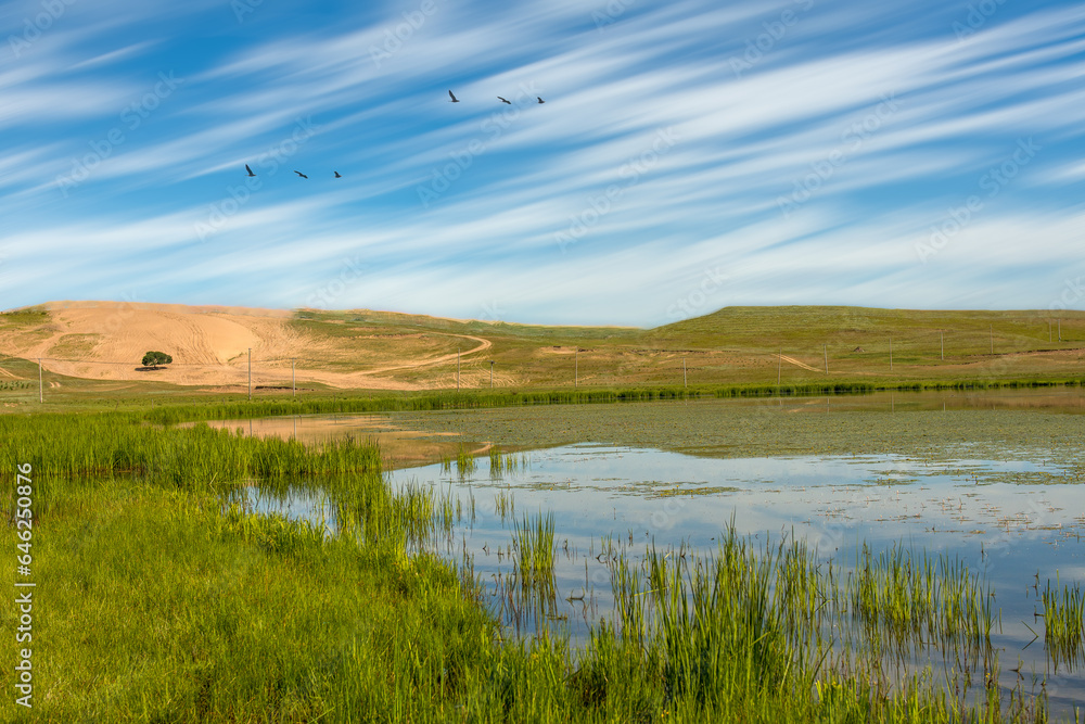 The beauty of the prairie The beauty of the prairie