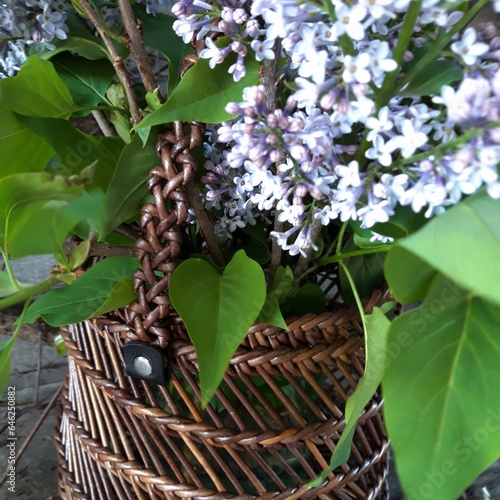 A wicker brown basket with bouquet of lilacs flowers on the gray stone backgrond photo