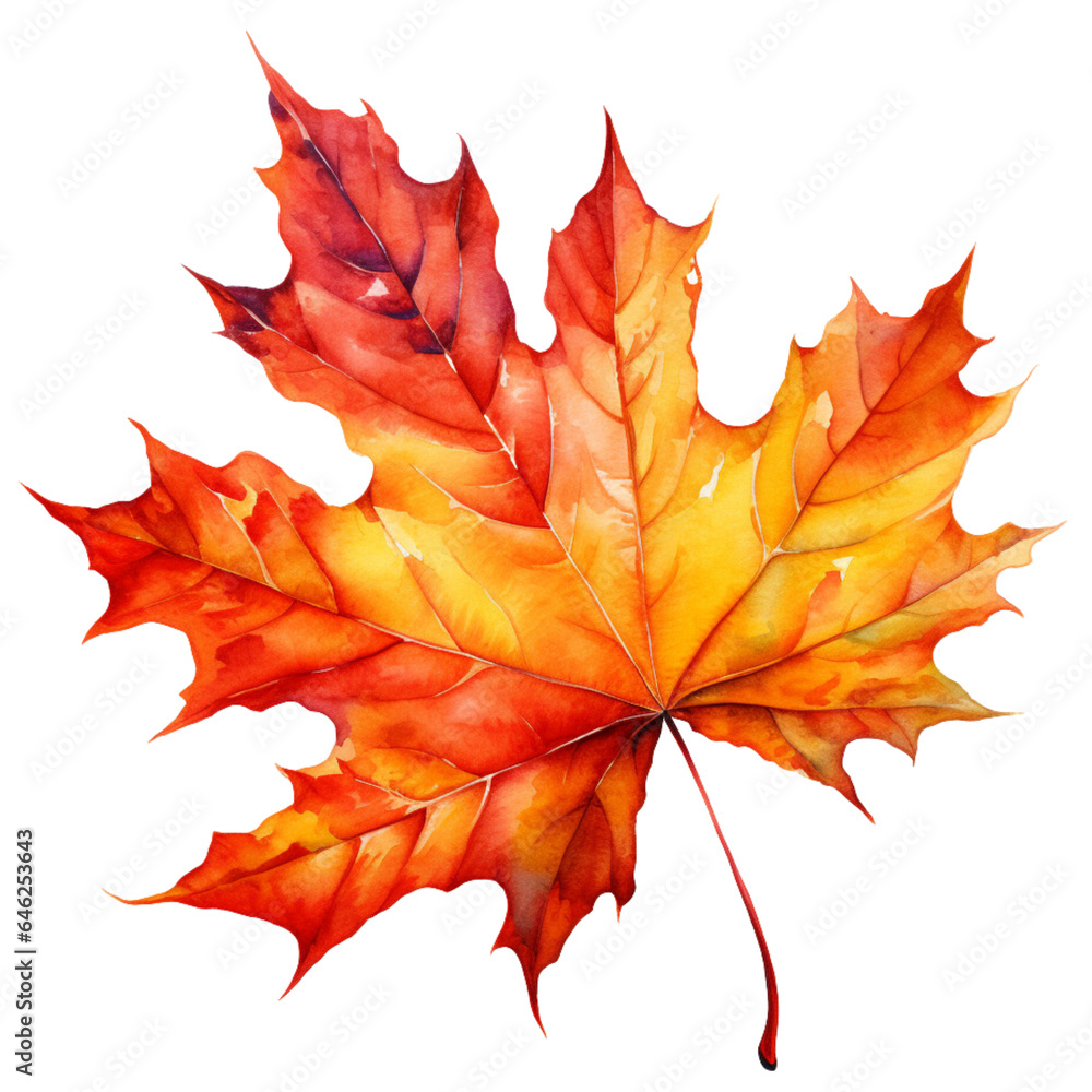 Fototapeta premium autumn