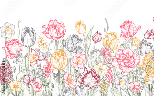 Vector background with beautiful spring flowers in sketch style.