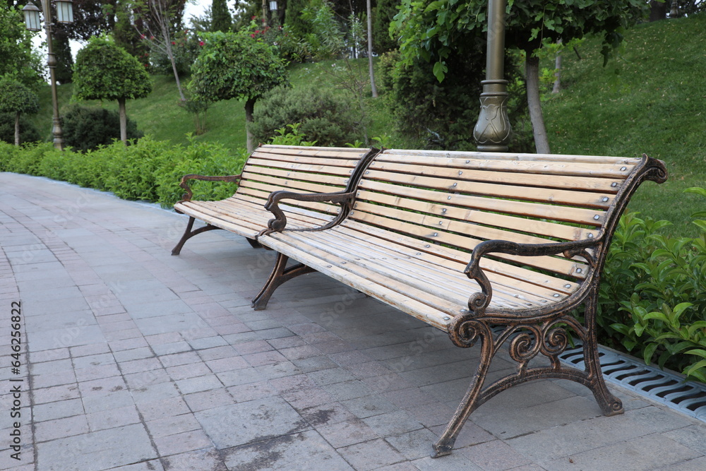 Wooden bench in the city park. Selective focus on the bench. Wooden bench in the city park. Selective focus on the bench.
