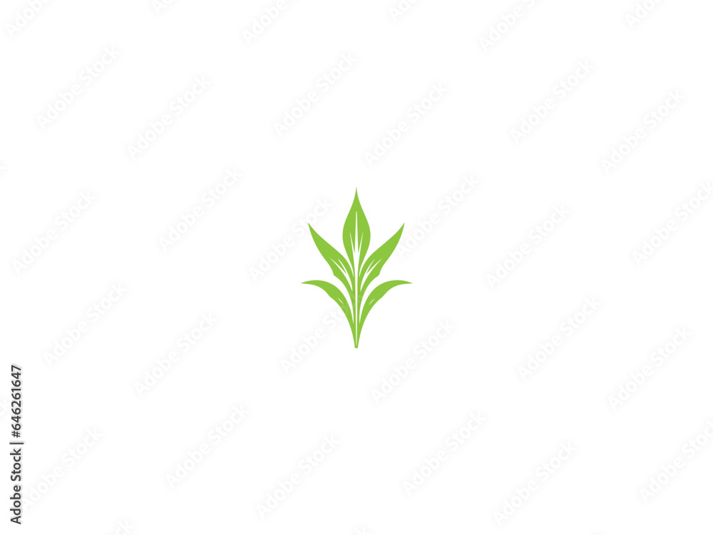 Corn plant logo vector, logo design, vector and illustration, Corn plant logo vector, logo design, vector and illustration,