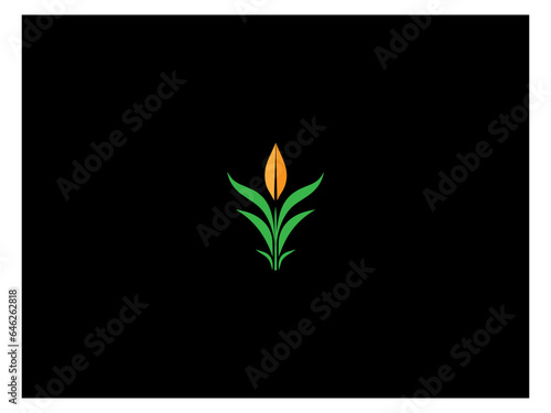 Corn plant logo vector  logo design  vector and illustration 