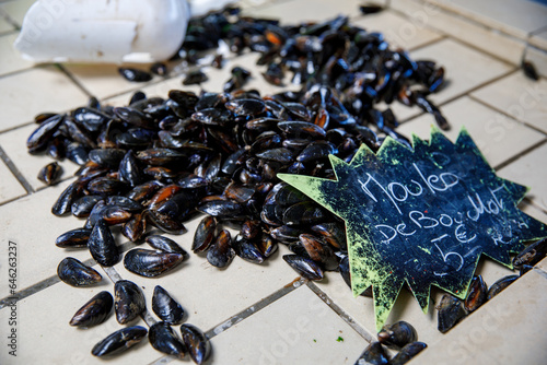 Wallpaper Mural Vibrant farmer market scene in Normandy featuring fresh moussels on ice beds, capturing the region's coastal charm and culinary traditions. Torontodigital.ca