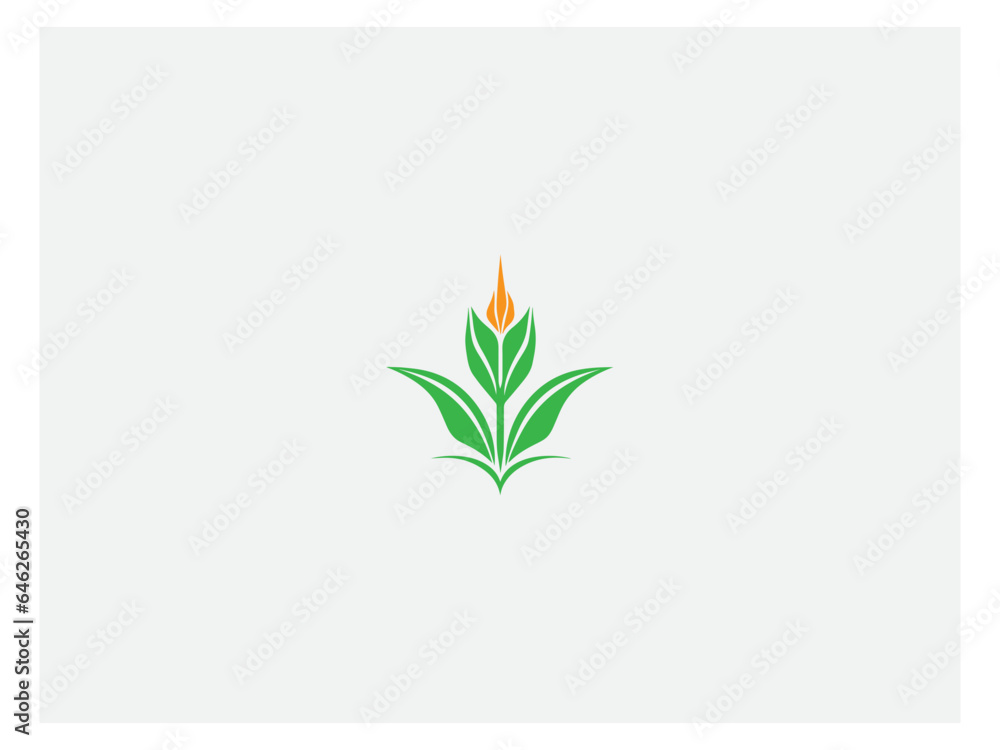 Obraz premium Corn plant logo vector, logo design, vector and illustration,