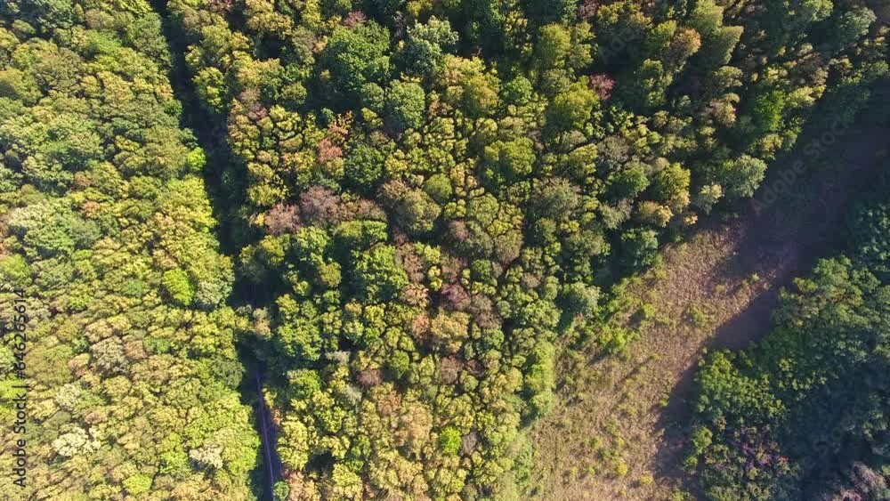Aerial view of forest, summer sunset time, nature background Aerial view of forest, summer sunset time, nature background