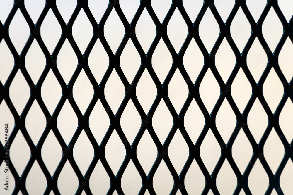 Fototapeta premium Expanded metal mesh panel pattern as background