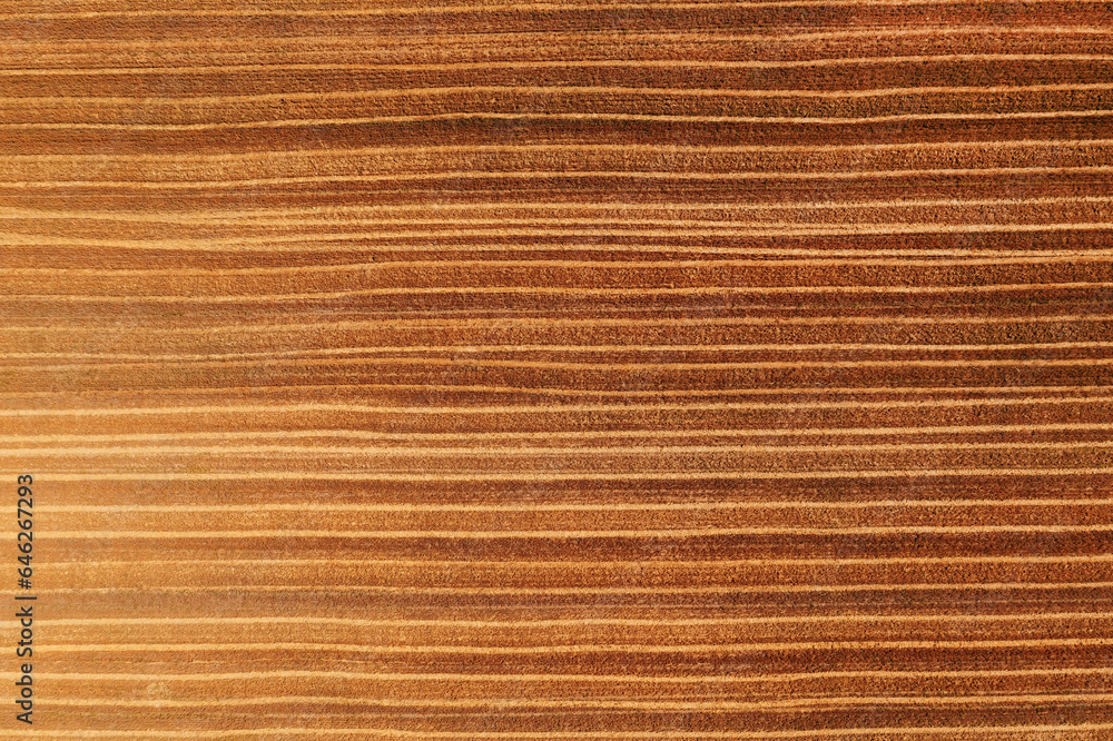 Abstract agricultural background, top view aerial shot of harvested wheat stubble field from drone pov Abstract agricultural background, top view aerial shot of harvested wheat stubble field from drone pov