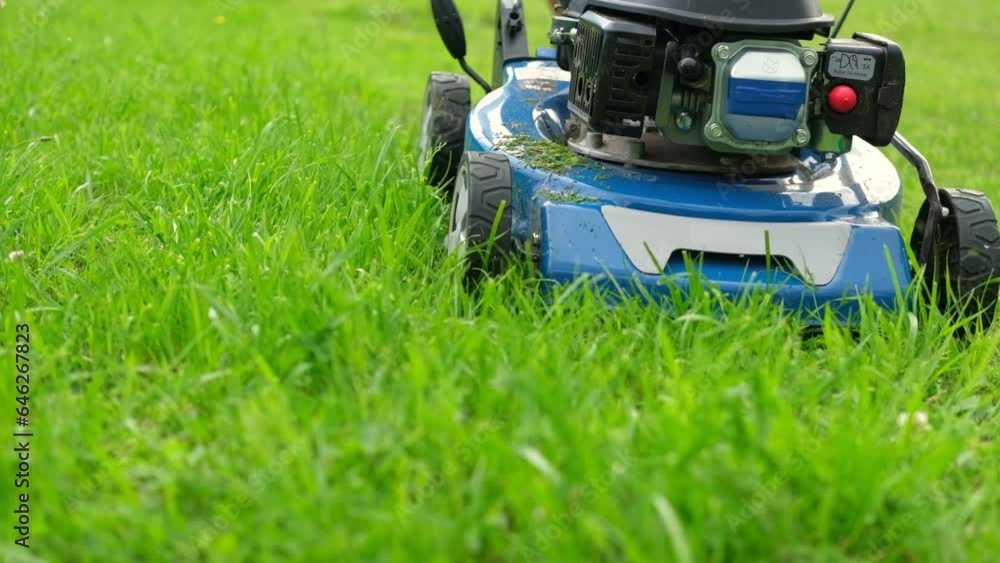 Lawn mower cutting grass. Small grass cuttings fly out of lawnmower. Grass clippings get spewed out of a mower pushed around by landscaper. CloseUp. Gardener working with mower machine. Mowing lawns
Lawn mower cutting grass. Small grass cuttings fly out of lawnmower. Grass clippings get spewed out of a mower pushed around by landscaper. CloseUp. Gardener working with mower machine. Mowing lawns