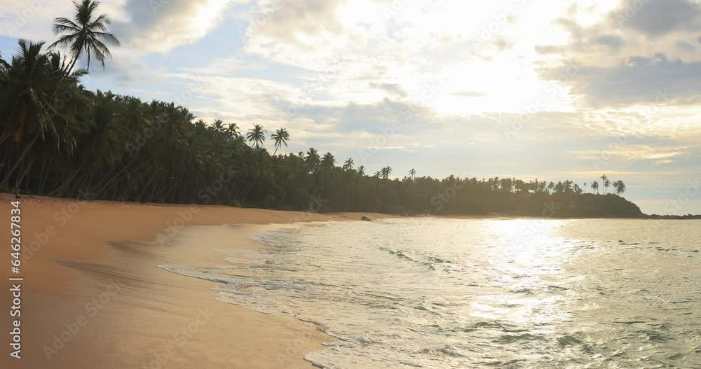 Golden sunset reflection on perfect sandy beach with palm trees. Tropical vacation theme with copy space. High quality inspirational slow motion 4k footage