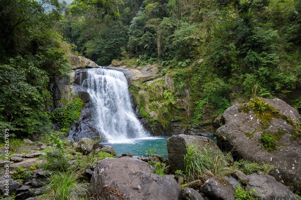 Fototapeta premium Forest waterfall in neidong national forest recreation area of taiwan
