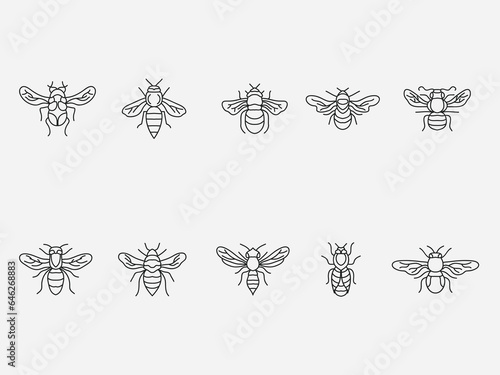 set of solitary and social bee linear outline icon .Editable stroke