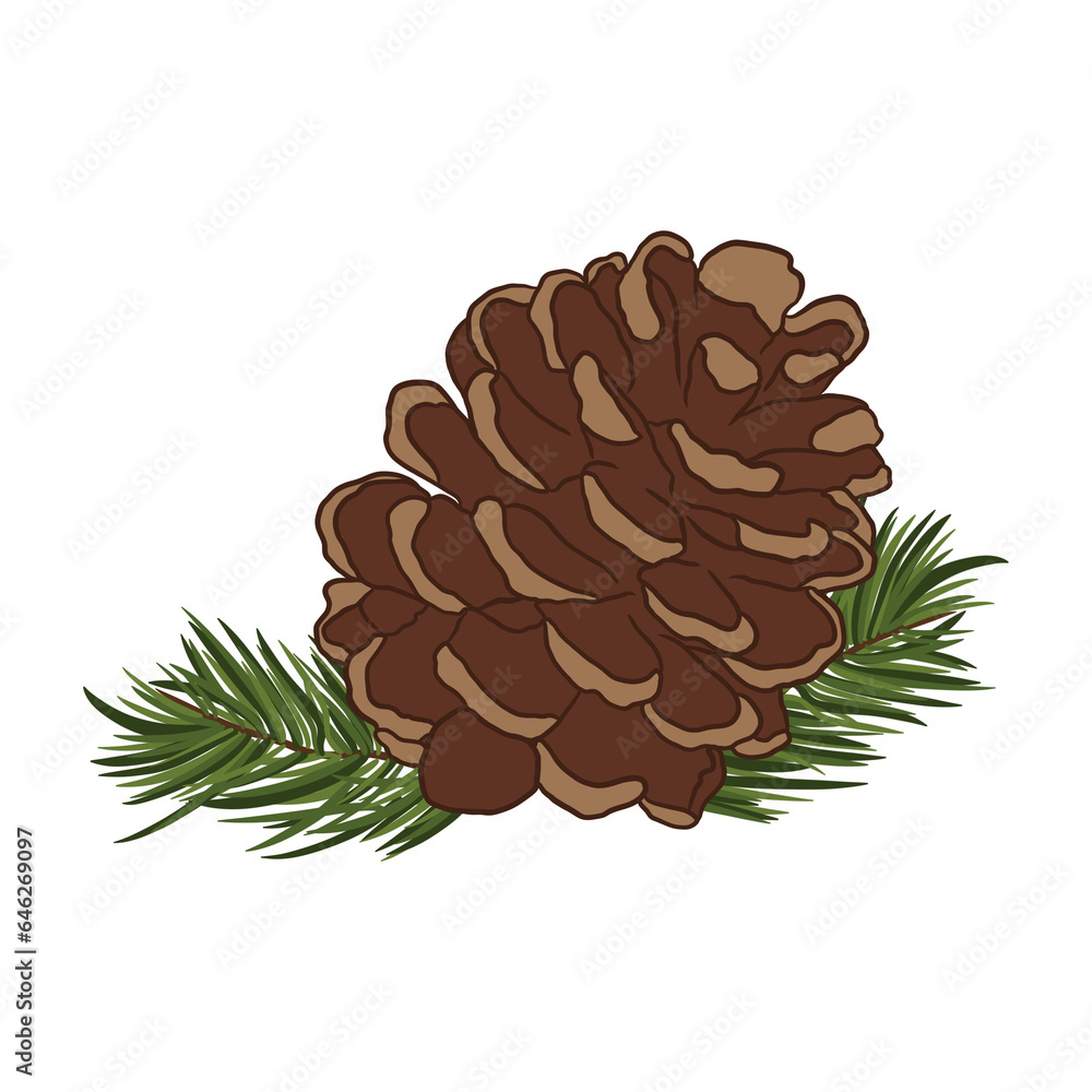 Pine Cone With Cedar