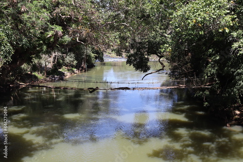  Forest river