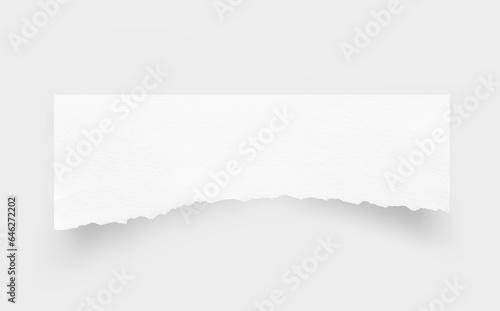 Wallpaper Mural Torn paper edges. Ripped paper texture. Paper tag. White paper sheet for background with clipping path. Close up. Torontodigital.ca