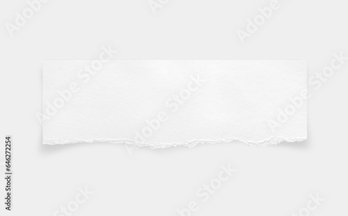 Wallpaper Mural Torn paper edges. Ripped paper texture. Paper tag. White paper sheet for background with clipping path. Close up. Torontodigital.ca