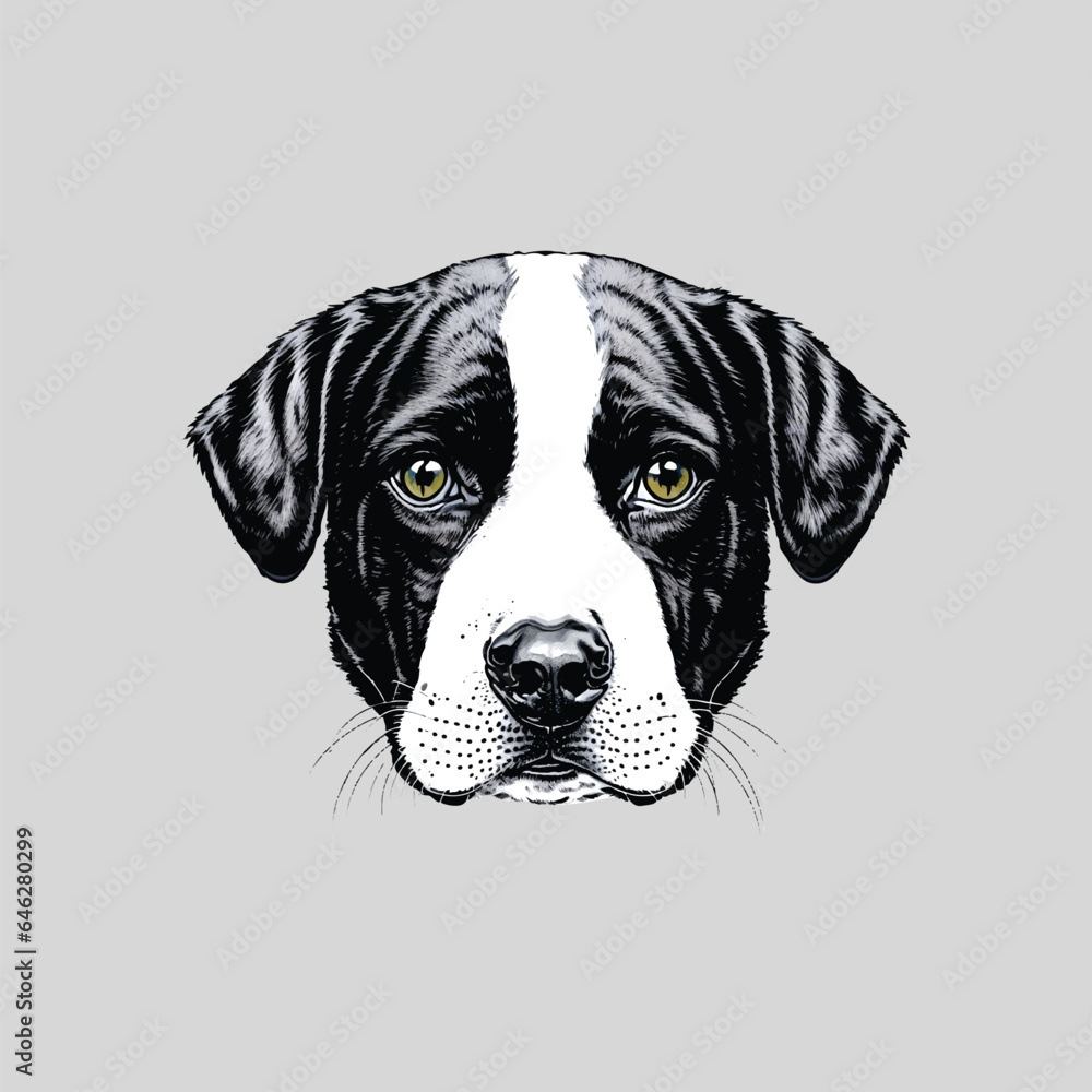 Dog Head, Black And White Illustration