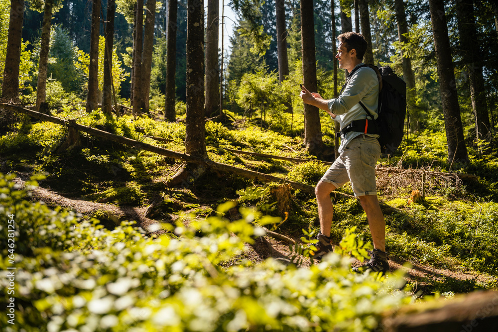 Hiker with backpack hiking in forest Hiker with backpack hiking in forest