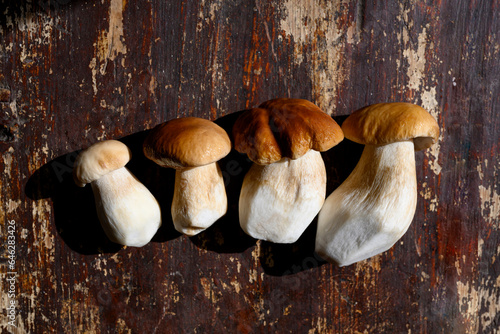 Fresh organic mushrooms on table photo